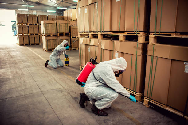 Reliable Glasgow, MT Pest Control Solutions