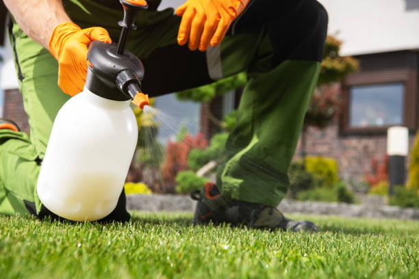 Best Bed Bug Extermination  in Glasgow, MT