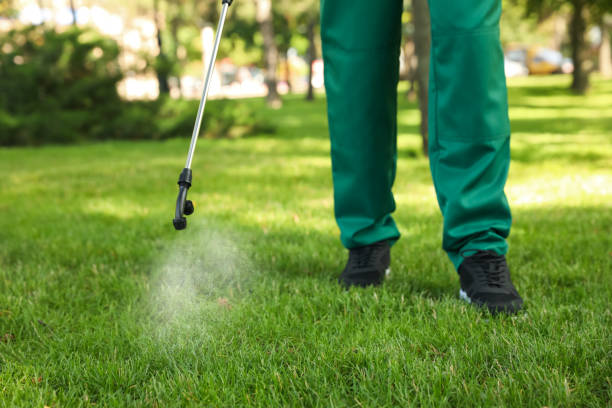 Best Local Pest Control Services  in Glasgow, MT