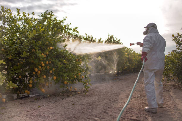 Best Pest Removal Services  in Glasgow, MT
